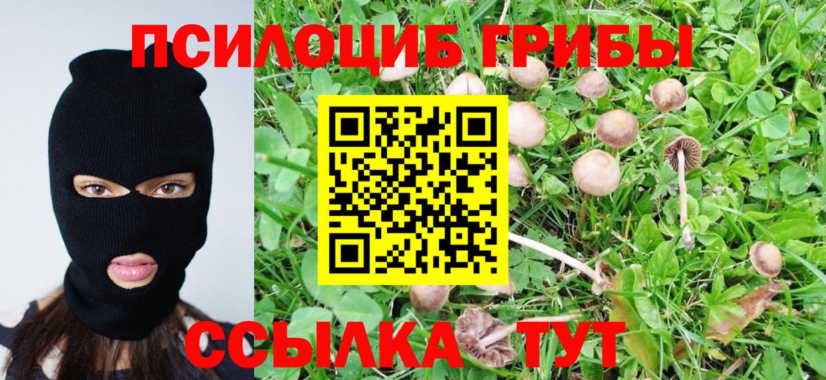 Артёмовский  Галлюциногенные грибы GOLDEN TEACHER  Вход с VPN  Псилоцибиновые грибы Magic Shrooms 