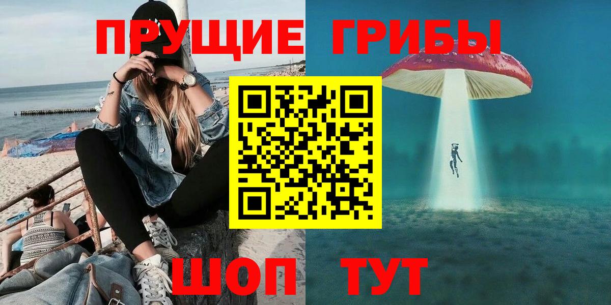 Псилоцибиновые грибы Psilocybe Артёмовский